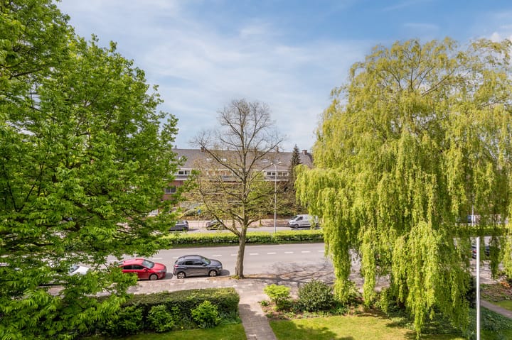 Foto 18 van Laan van Nieuw Oosteinde 121-B