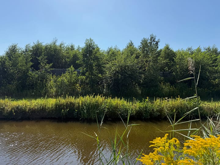 Photo 42 of Het Eyland 4