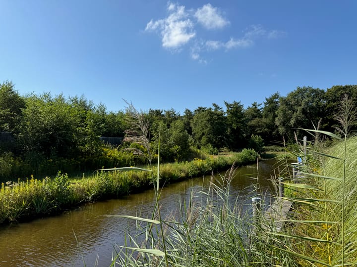 Photo 43 of Het Eyland 4