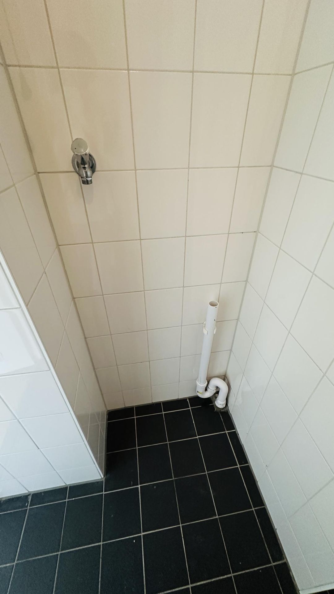 Photo 11 of Dirk Costerplein 271