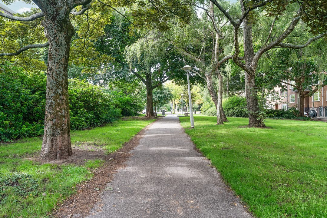 Foto 8 van Theophilusstraat 8-2