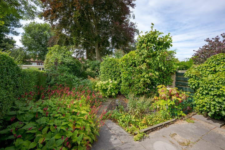 Foto 5 van Wijngaardenlaan 55