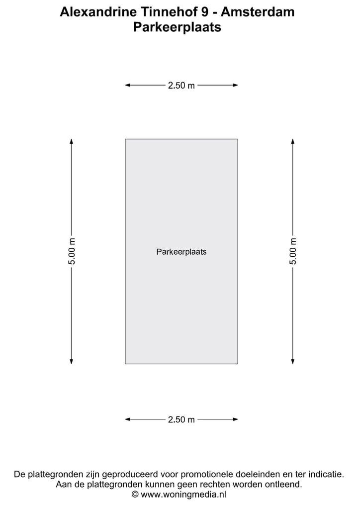 Foto 41 van Alexandrine Tinnehof 9