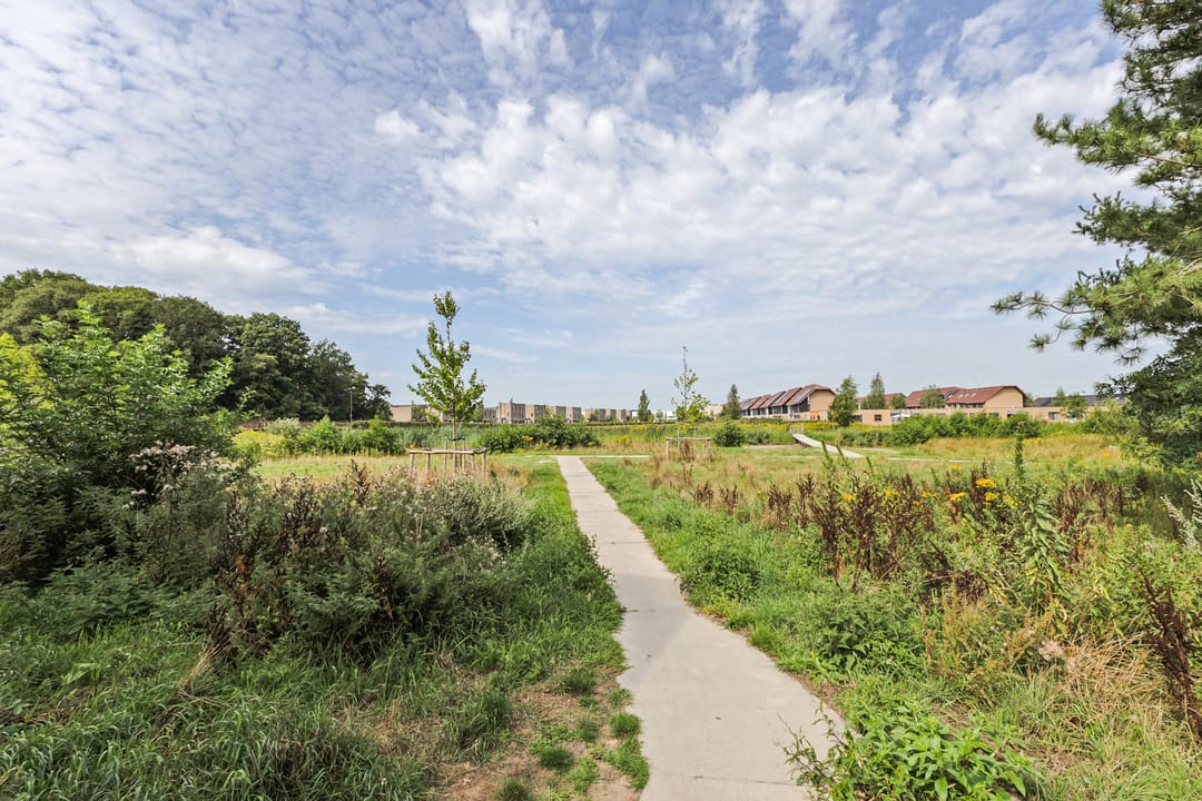 Foto 37 van Zevenaarstraat 51