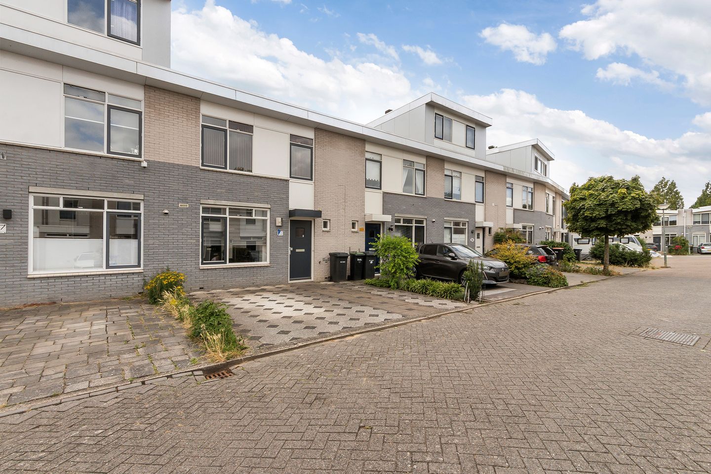 Photo 1 of Mahonie 226