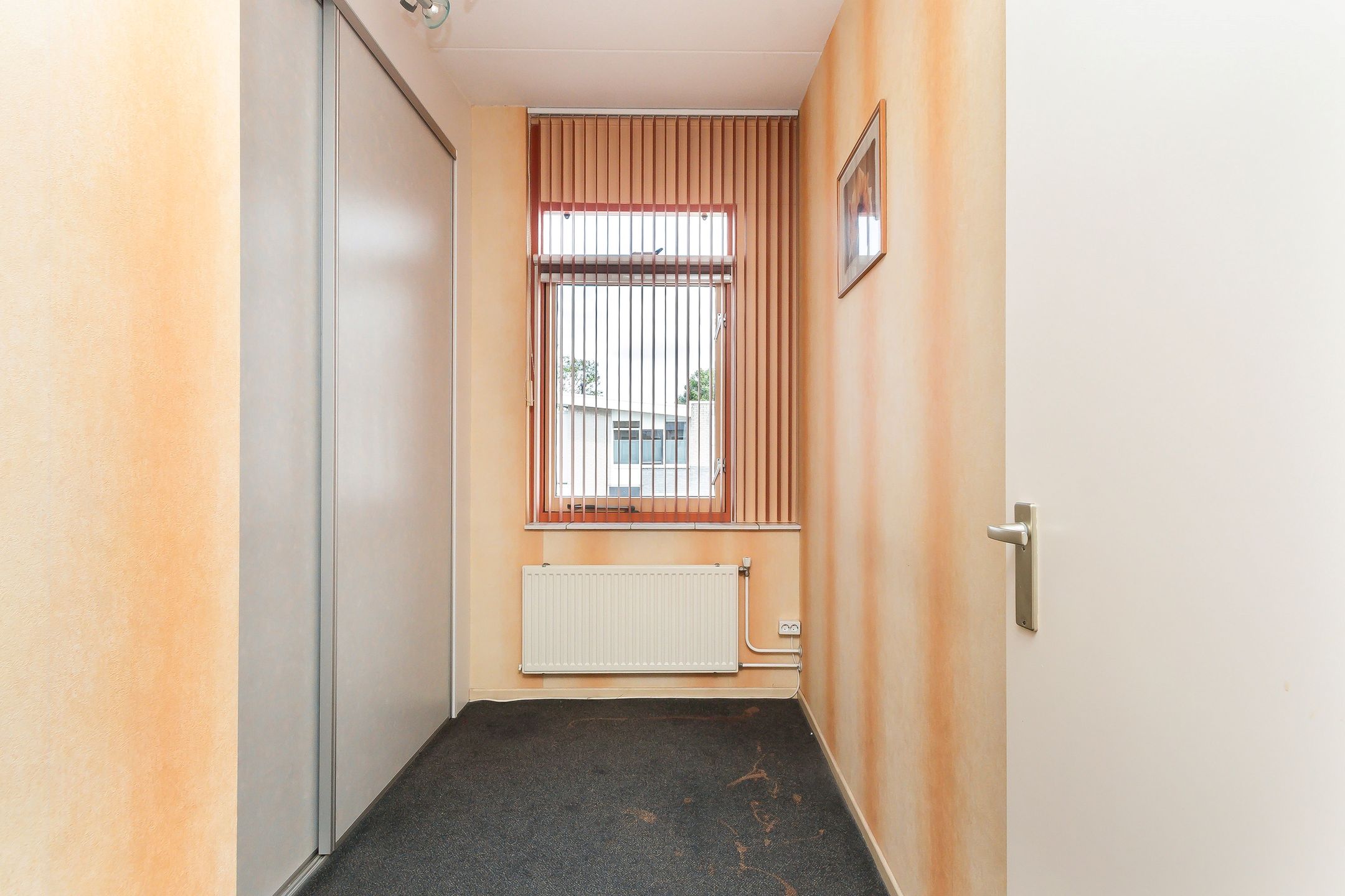 Photo 12 of Mahonie 226