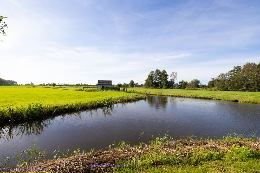 Foto 52 van Wilnisse Zuwe 35