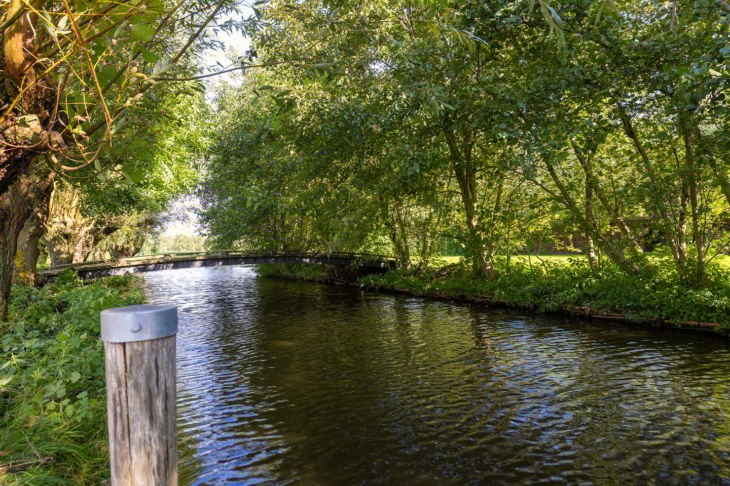 Foto 70 van Wilnisse Zuwe 35