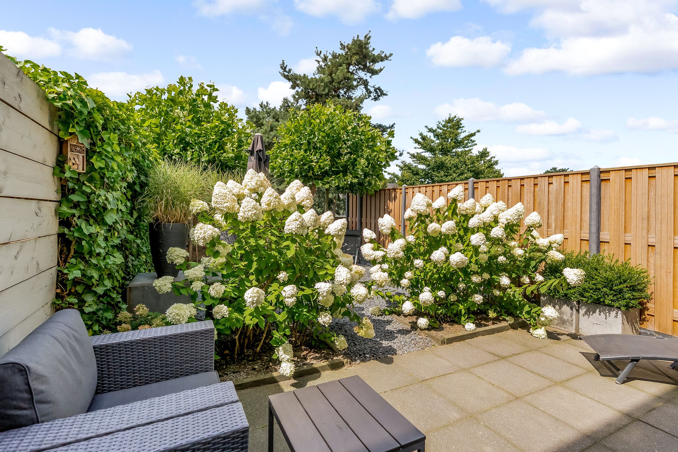 Foto 27 van Sterrenkroos 35