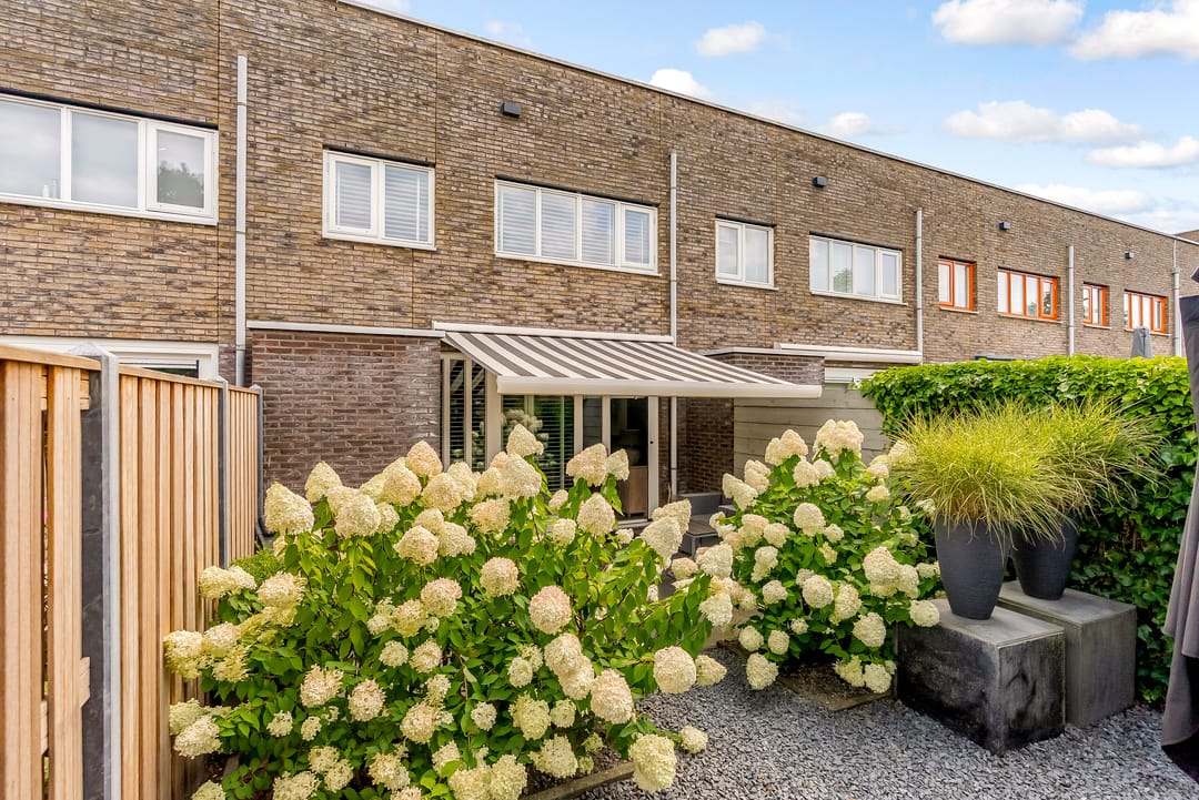 Foto 28 van Sterrenkroos 35