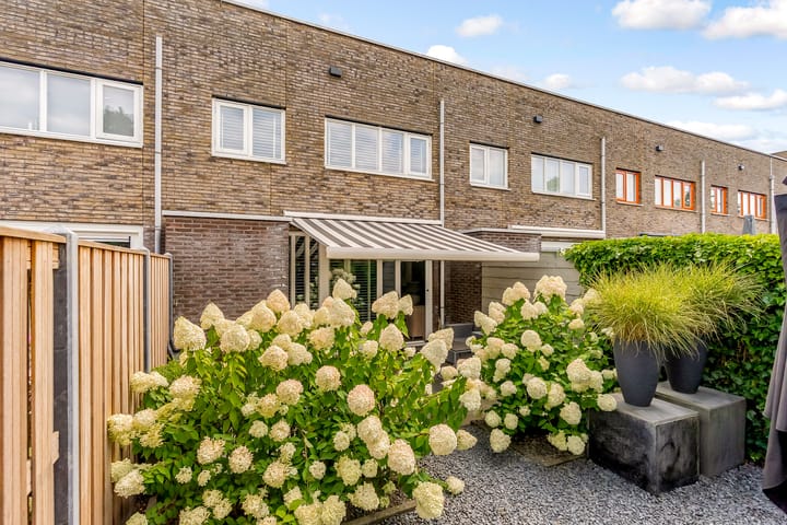 Foto 28 van Sterrenkroos 35