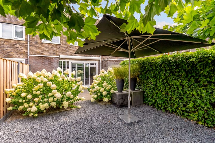 Foto 29 van Sterrenkroos 35