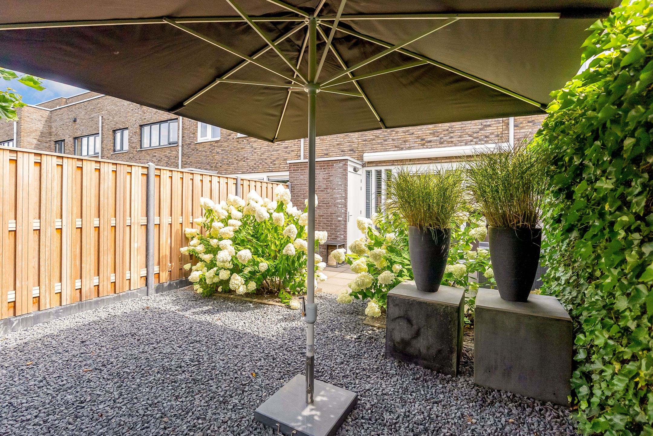 Foto 30 van Sterrenkroos 35