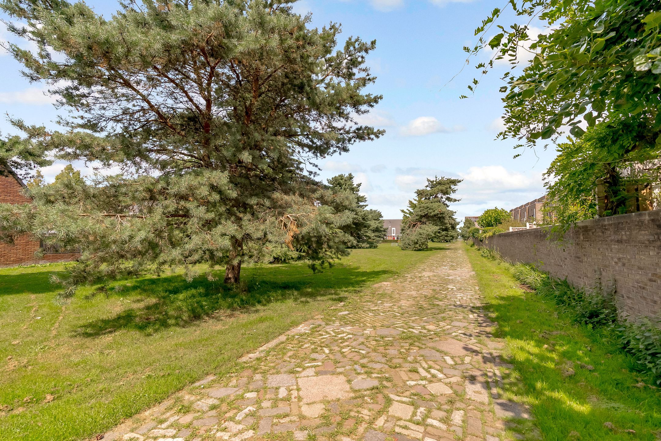 Foto 36 van Sterrenkroos 35