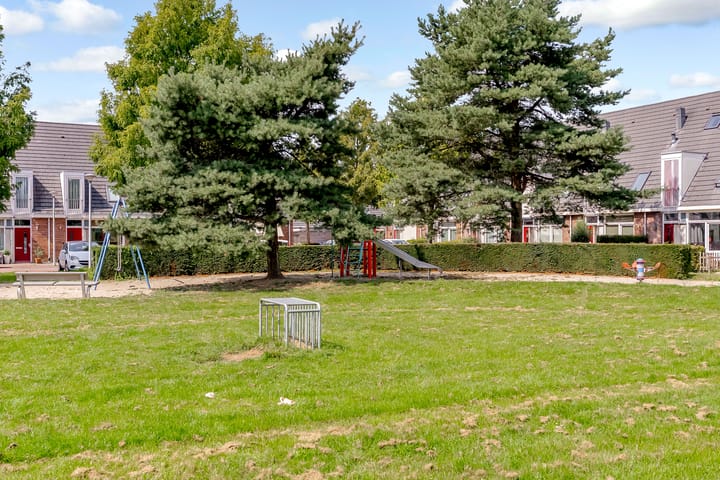 Foto 37 van Sterrenkroos 35