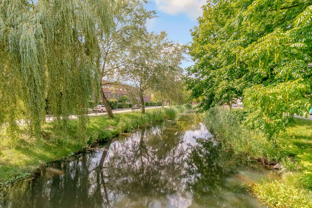 Foto 38 van Sterrenkroos 35