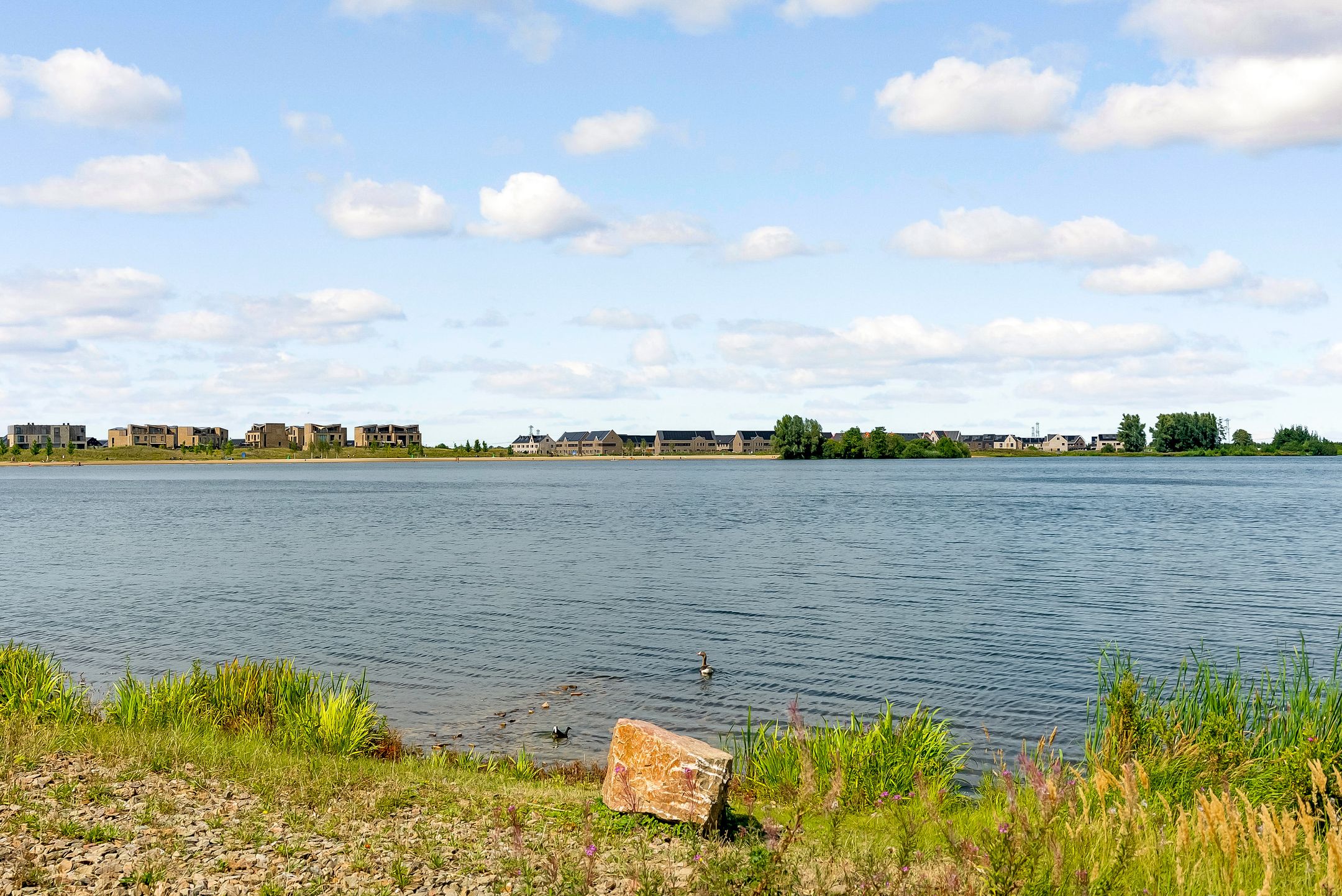 Foto 39 van Sterrenkroos 35