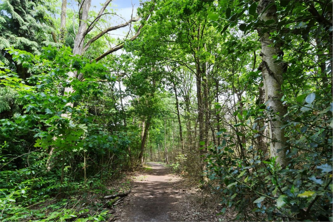 Foto 43 van Edelweisstraat 156