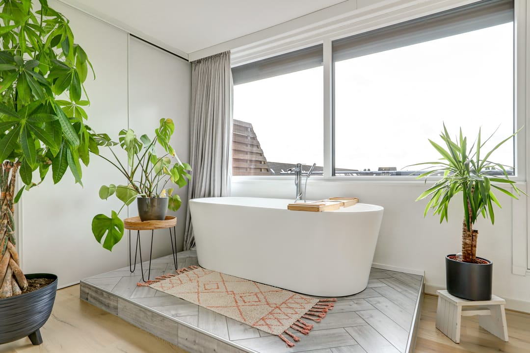 Photo 38 of Vrijheidsplantsoen 39