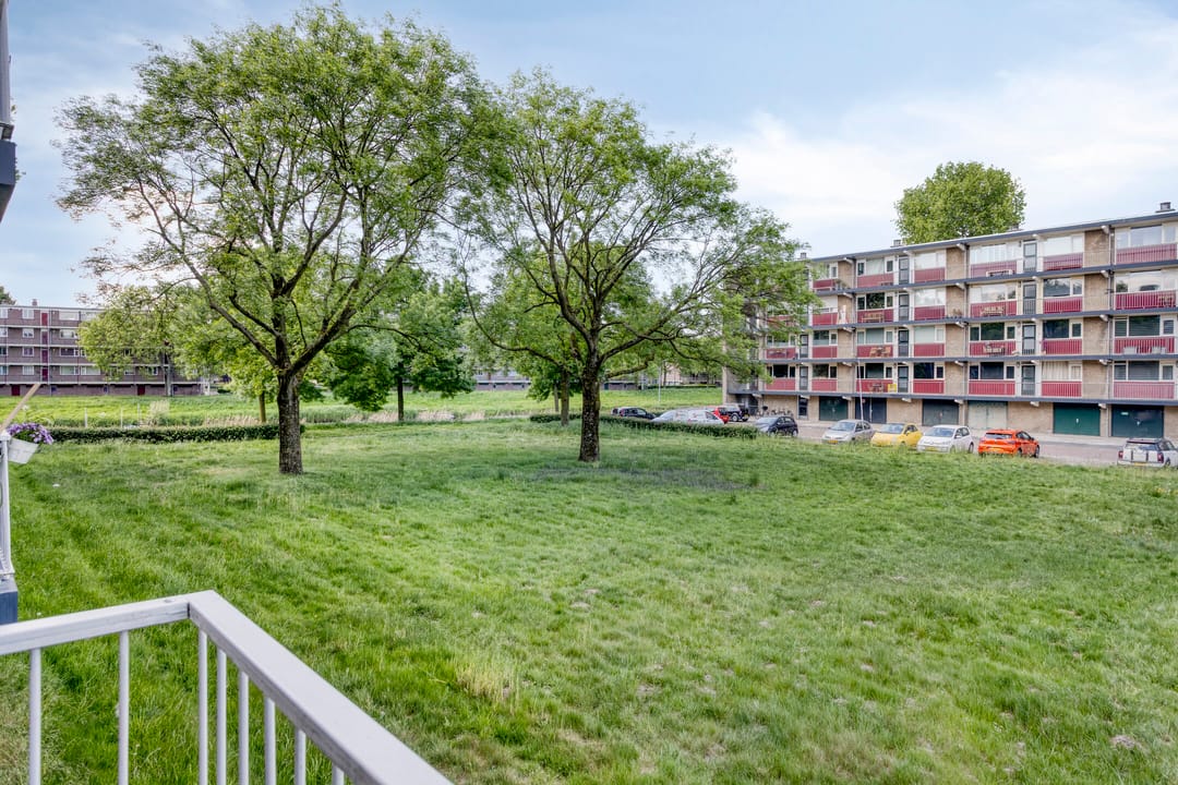 Foto 8 van van Reysstraat 75