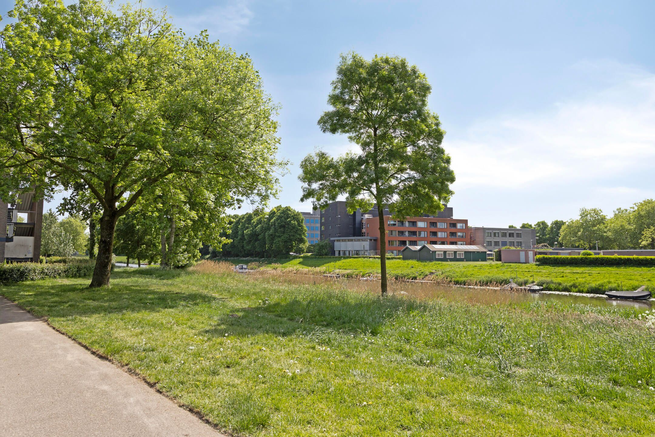 Foto 18 van van Reysstraat 75