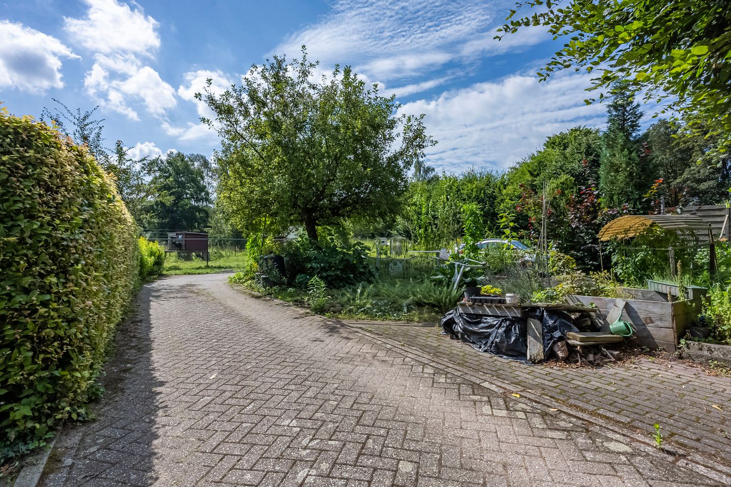 Foto 25 van Rinckberg 13