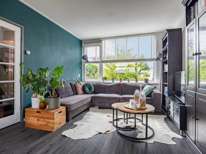 Foto 2 van Paulus Potterstraat 51