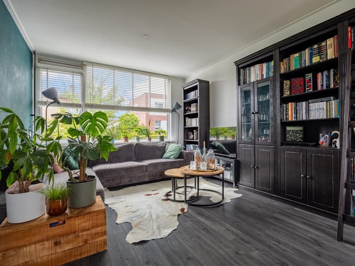 Foto 3 van Paulus Potterstraat 51