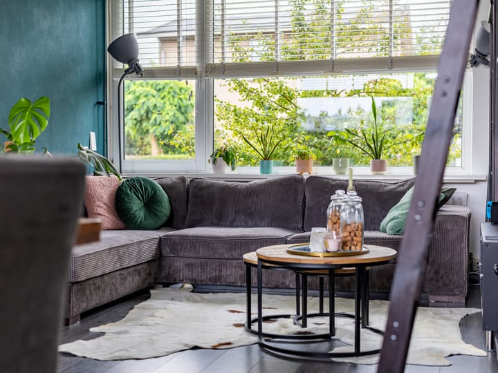 Foto 4 van Paulus Potterstraat 51