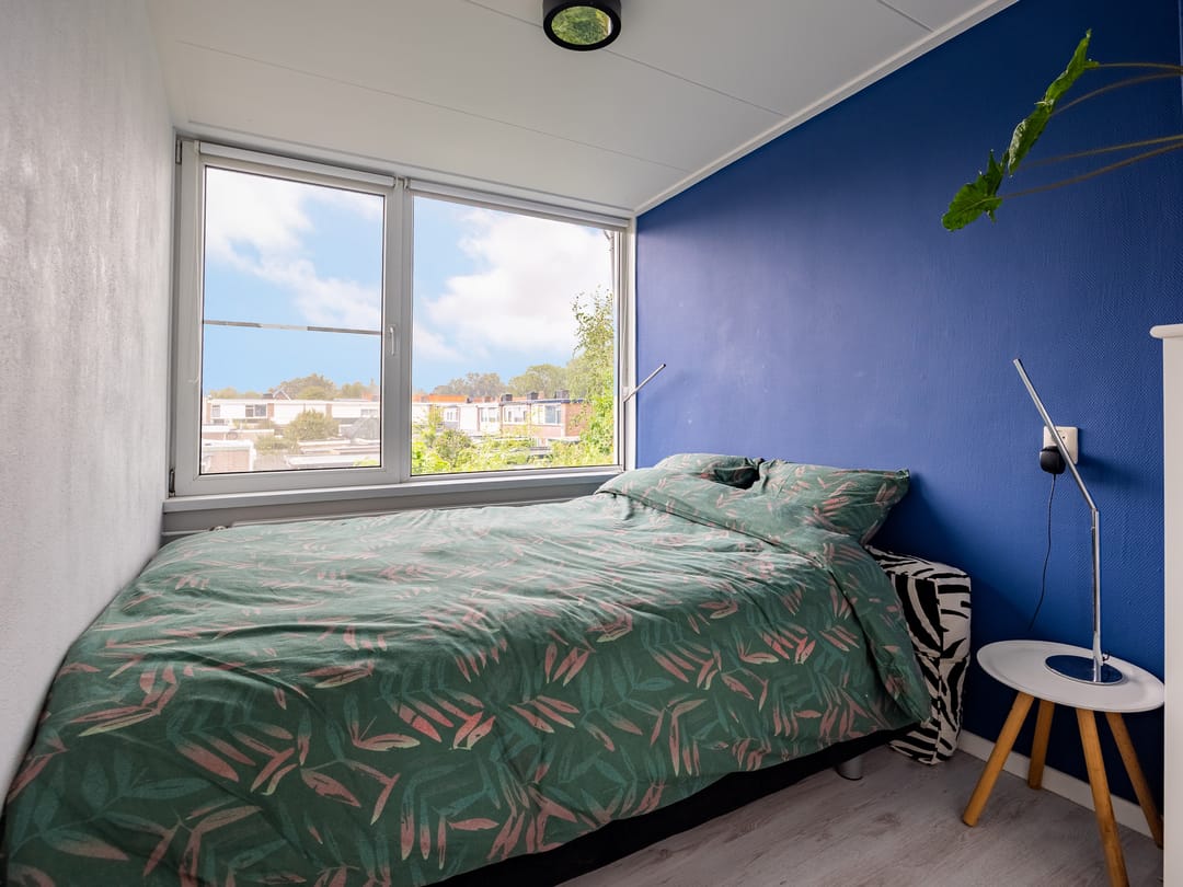 Photo 16 of Paulus Potterstraat 51