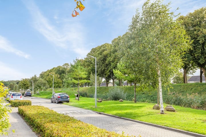 Photo 54 of Trondheim 20