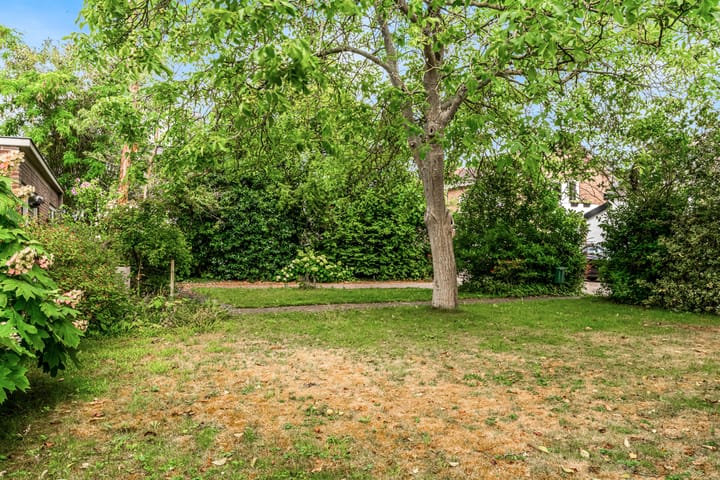 Foto 3 van Den Hamstraat 2