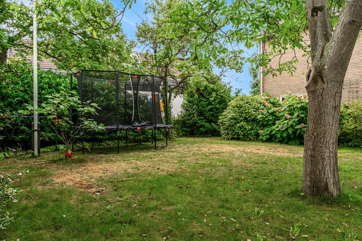 Foto 25 van Den Hamstraat 2