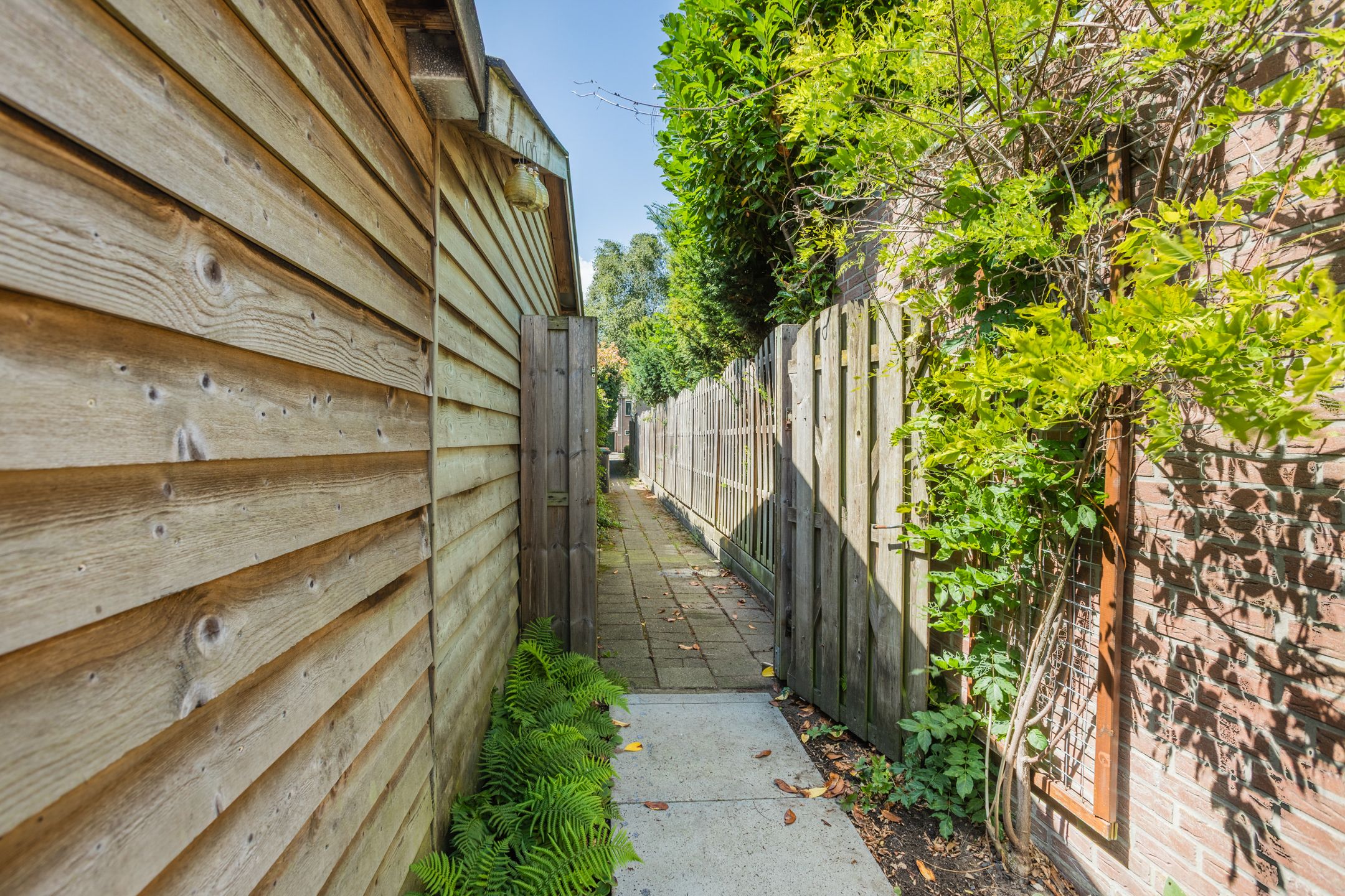 Foto 48 van Magnolialaan 26-A