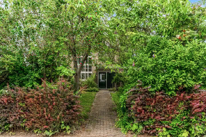 Foto 34 van Den Hamstraat 2