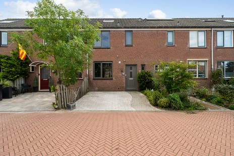 undefined main image