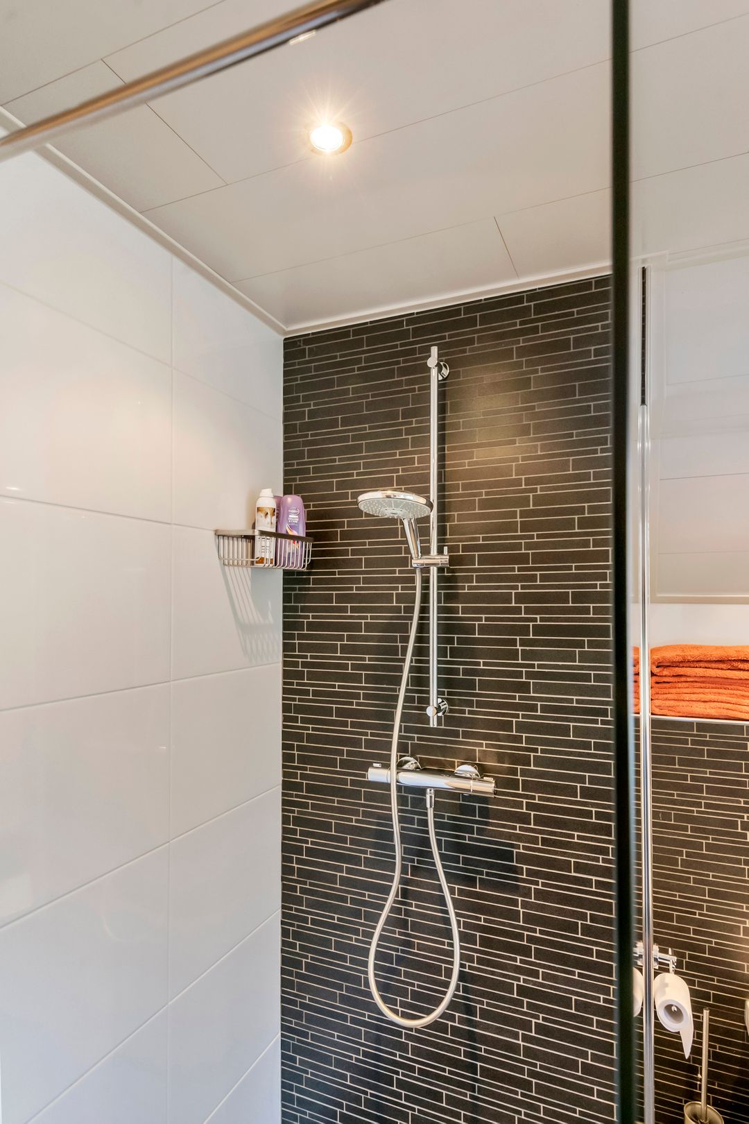 Foto 38 van Egelantierpad 21