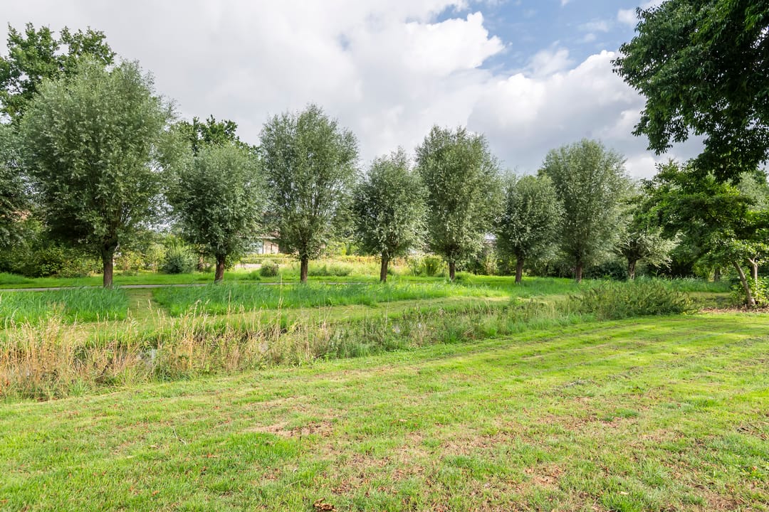 Foto 53 van Egelantierpad 21