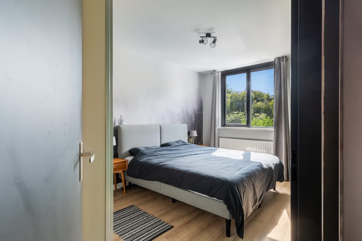 Photo 38 of Zeggeveen 5