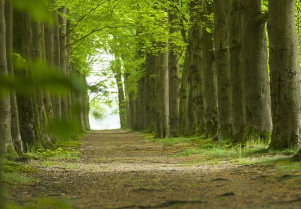 Foto 4 van Woudhuizerweg nabij 84 (kavel 1)