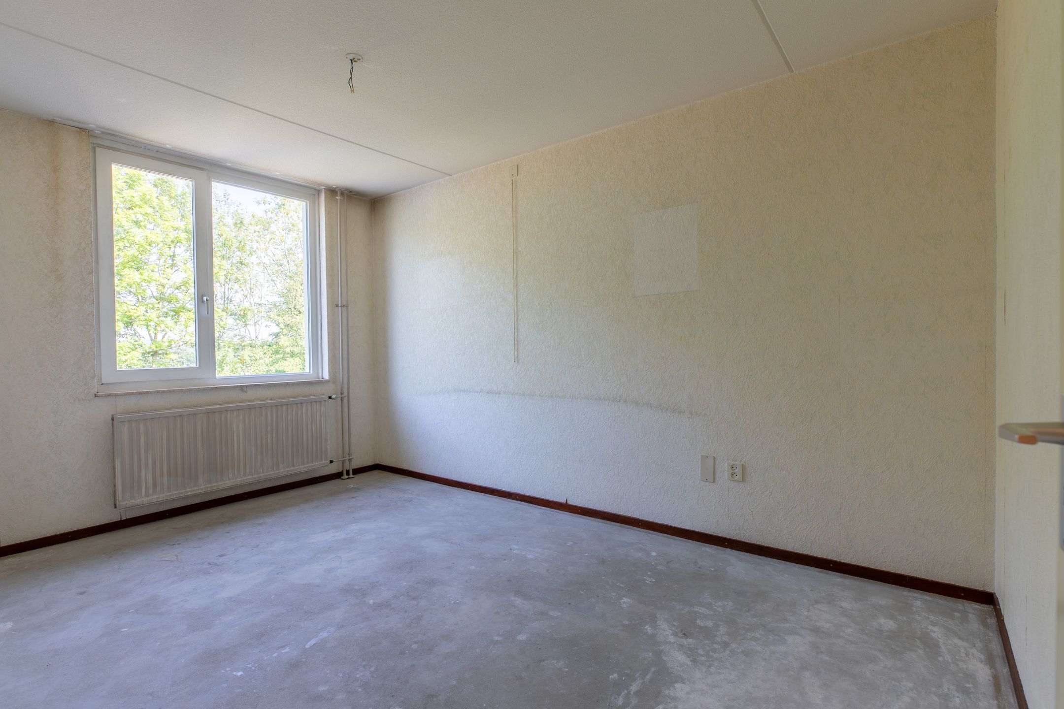 Photo 15 of Zeskant 161