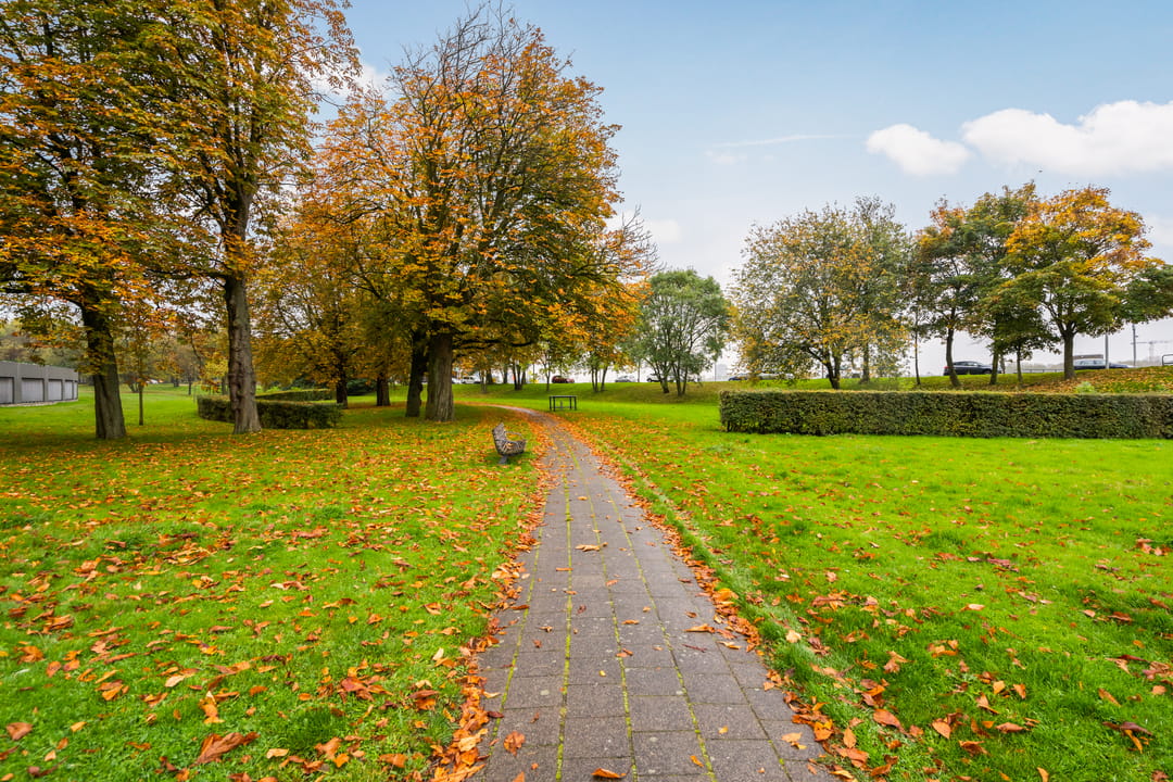 Foto 46 van Oostmaaslaan 652