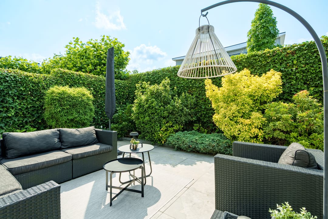 Photo 31 of Gerard Walschaphove 23