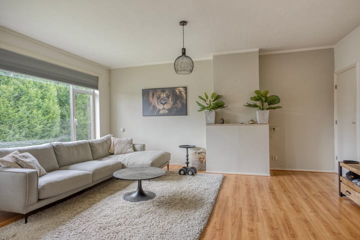 Foto 3 van Herman Boerhaavelaan 114