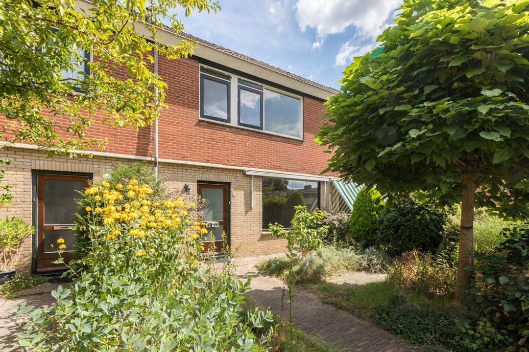 Foto 1 van Treubstraat 76