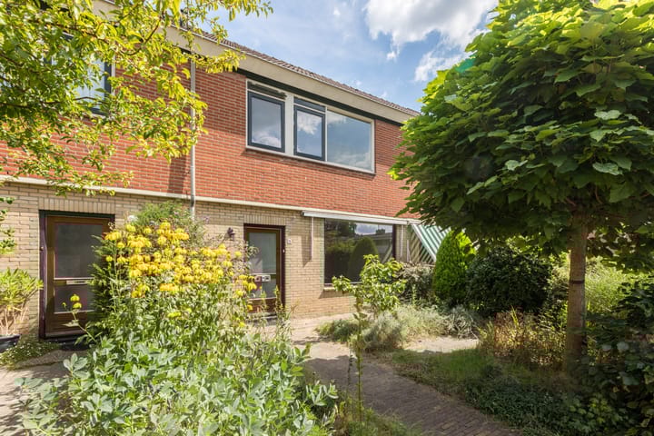 Foto 1 van Treubstraat 76