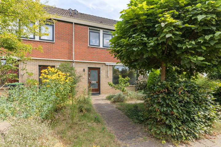 Foto 3 van Treubstraat 76