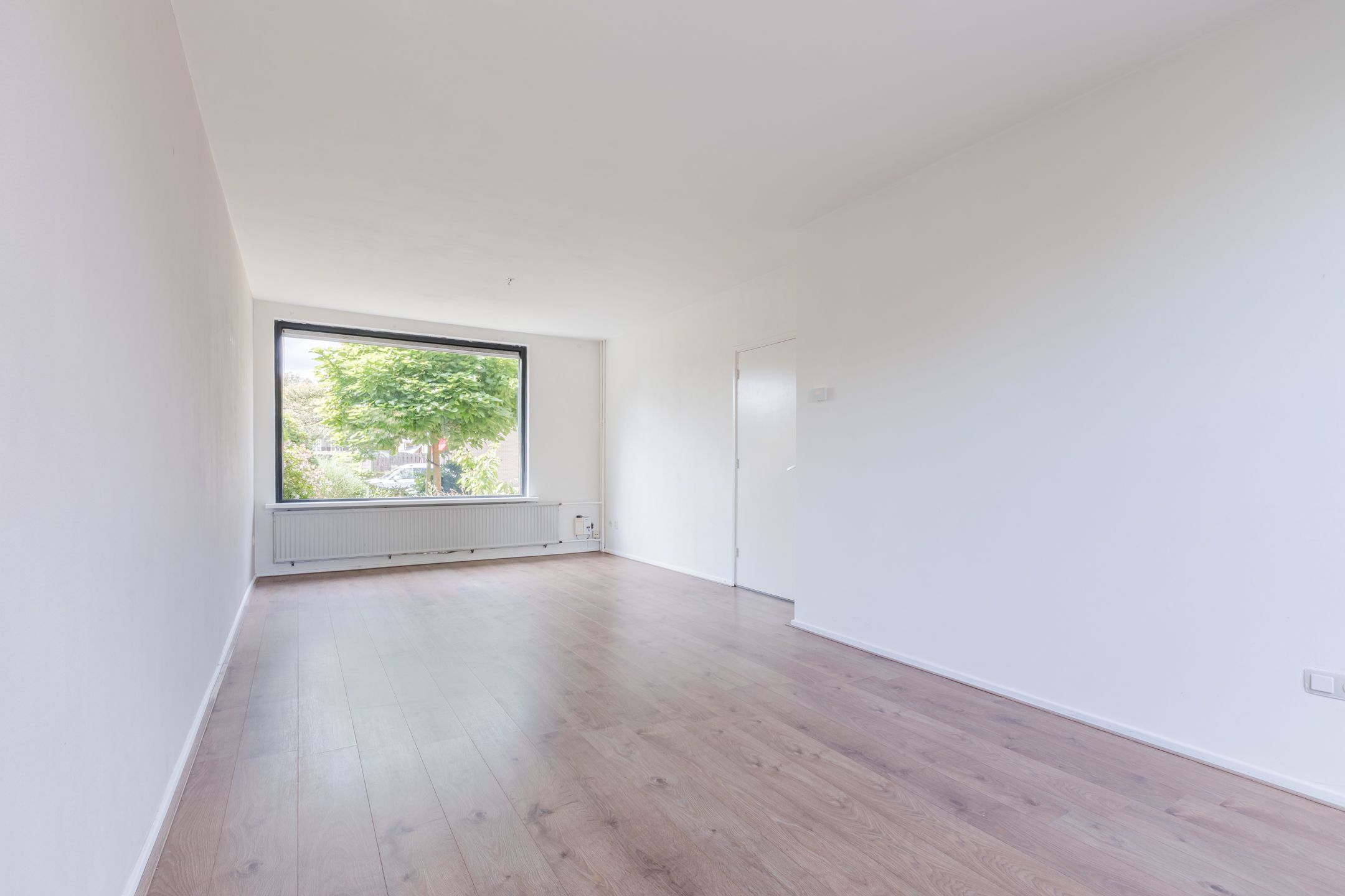 Foto 6 van Treubstraat 76