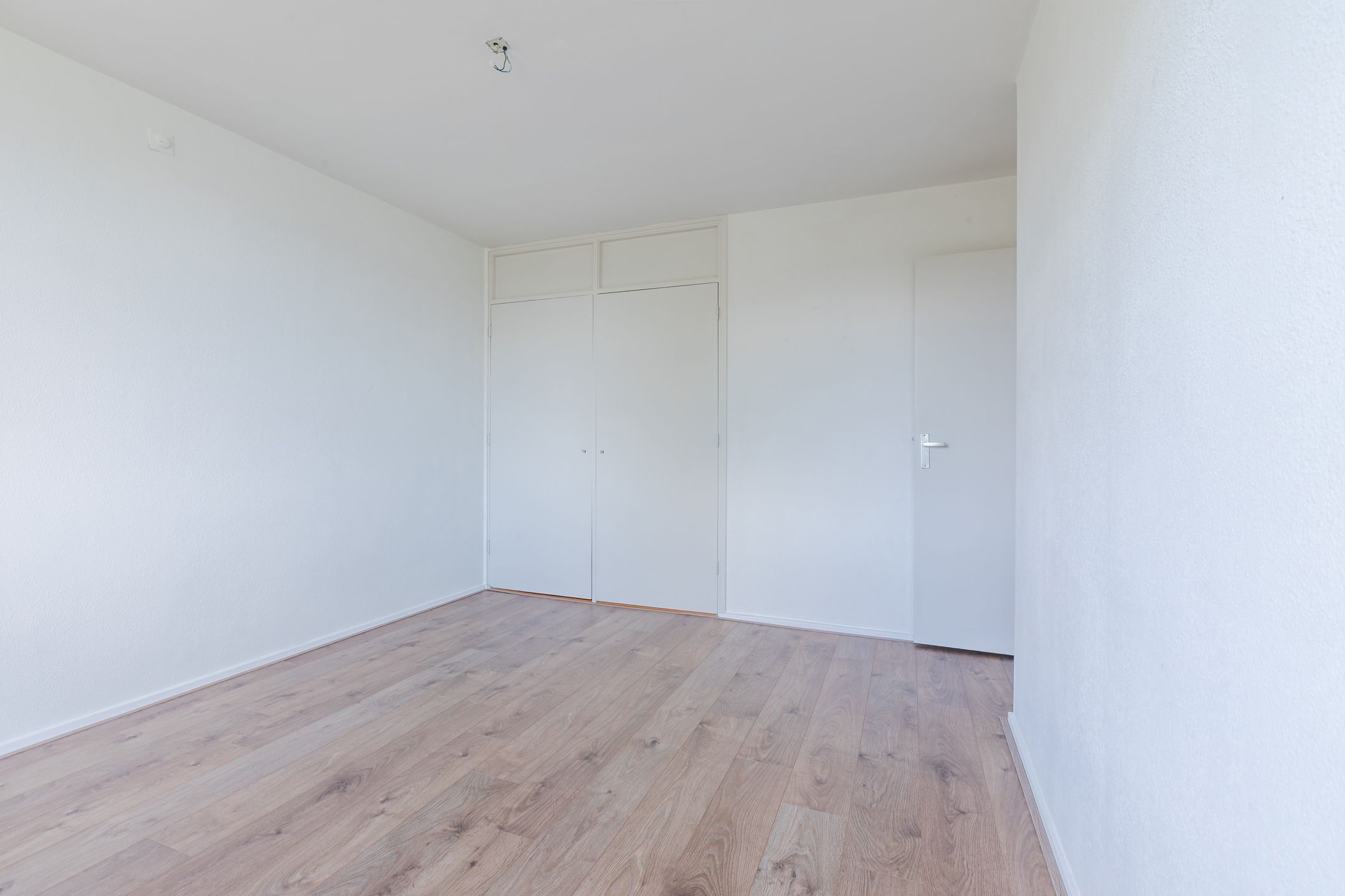 Foto 18 van Treubstraat 76