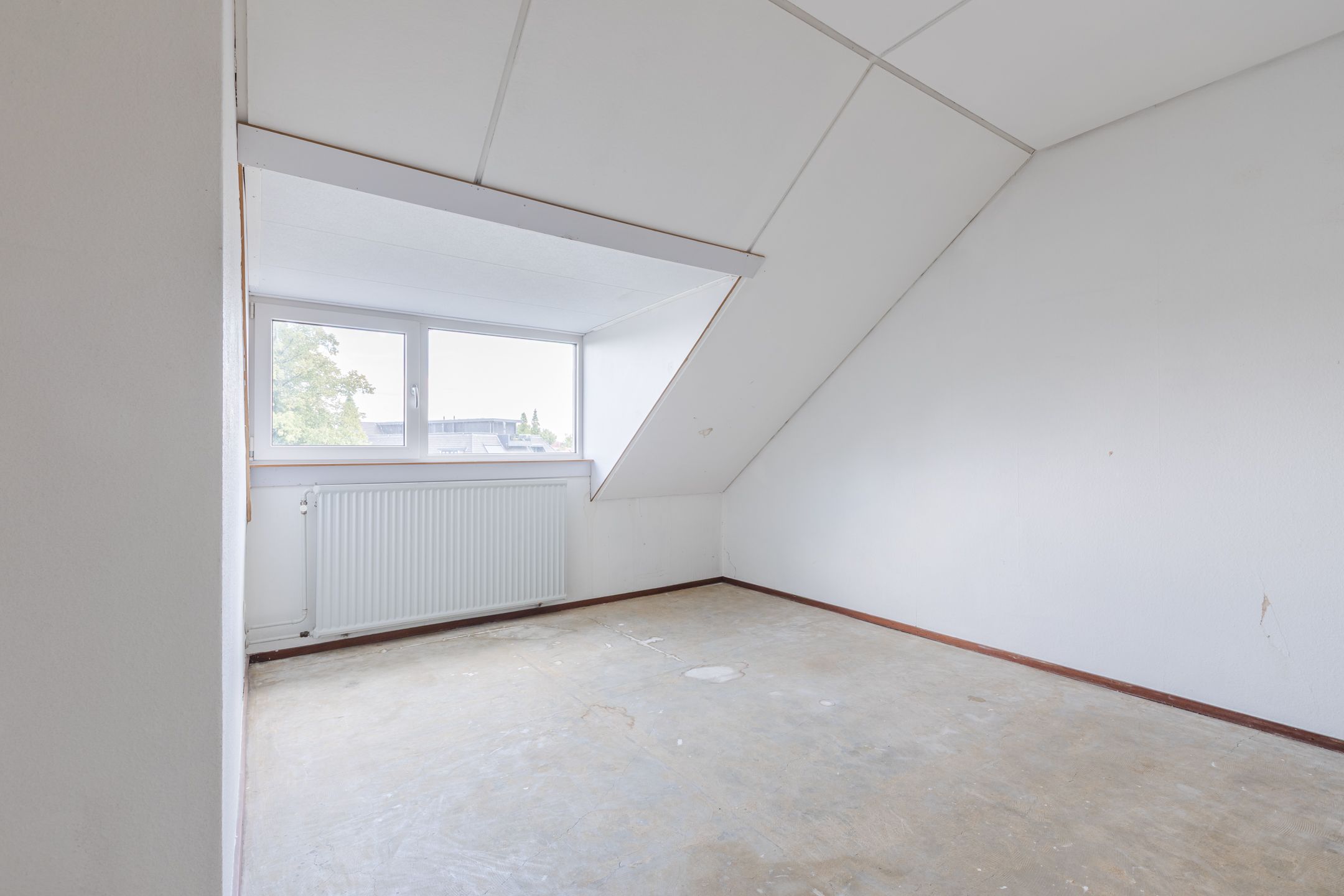 Foto 33 van Treubstraat 76